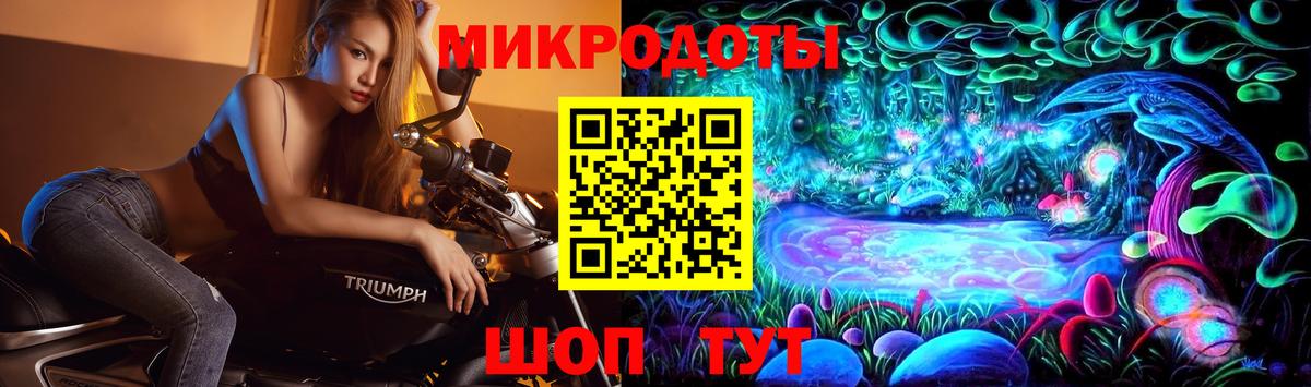 Галлюциногенные грибы Psilocybine cubensis Качканар