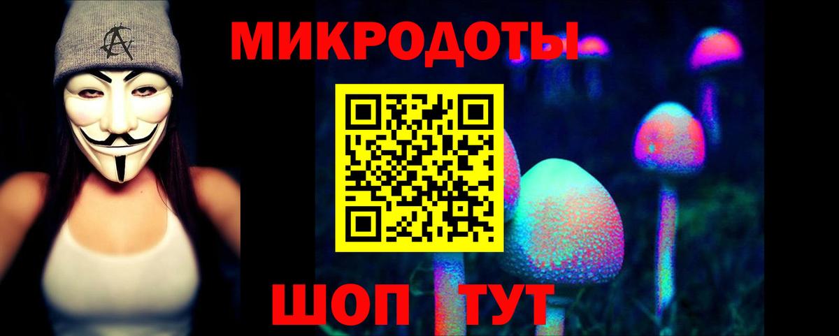Псилоцибиновые грибы GOLDEN TEACHER  Вход с VPN  Псилоцибиновые грибы GOLDEN TEACHER  Качканар 